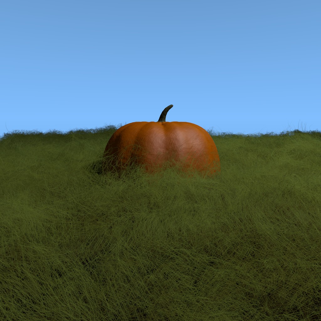 Pumpkin In Grass preview image 1